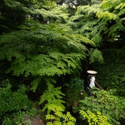 徳川園