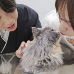 愛猫ちゃんと新しい思い出作り！