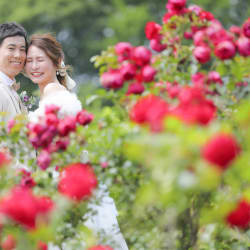 お花に囲まれた撮影はいかがでしょうか？