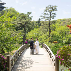 新緑の時期でも様々なお花が咲く三溪園！