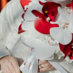 紅白を身に纏う