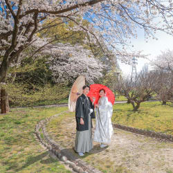 桜満開🌸和装ロケ