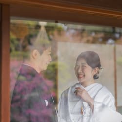 梅の花と残す【目白庭園】