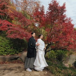 目白庭園の紅葉