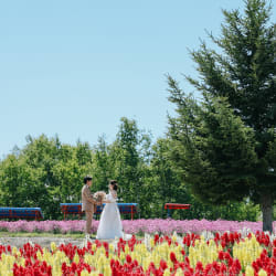 夏の北海道で花畑＆牧場撮影♪