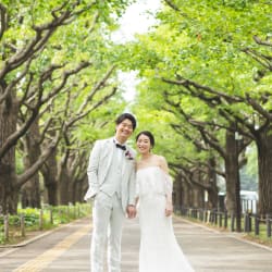 新緑シーズン