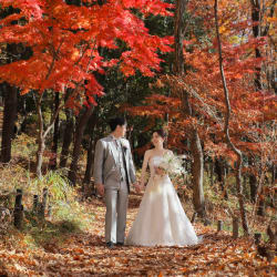 昭和記念公園の洋装ロケーション