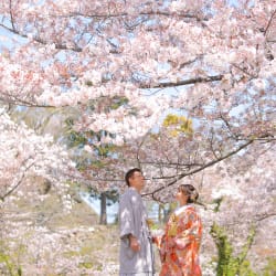 毎年人気の桜ロケ♪