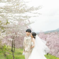 満開の桜を背景に飯綱山ロケーション！