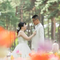 お花に囲まれて！【ひたち海浜公園ロケーション】