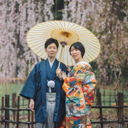 雨と桜