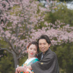 河津桜ロケーション