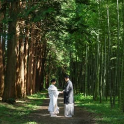 若竹の杜ロケーション