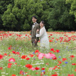 春の昭和記念公園　和洋ロケーション