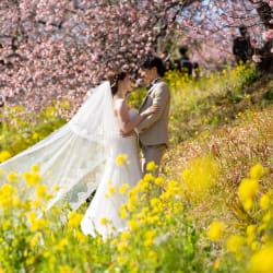 河津桜ロケーション🌸