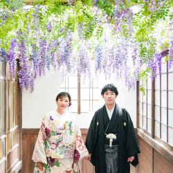 屋内庭園スタジオに藤が咲きました✨