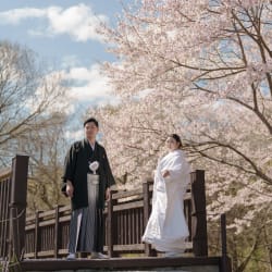 春に包まれる幸せの瞬間