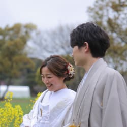 菜の花と桜と。