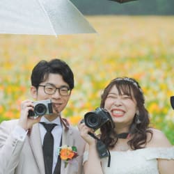 	雨にも負けず、風にも負けず。