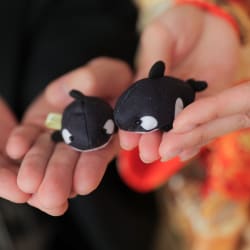 アイテムはご家族の愛でした♪