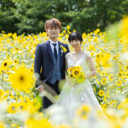 ひまわりロケーション