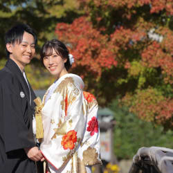 10月下旬の白鳥庭園撮影はこんな感じ🍁