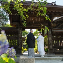高幡不動尊の紫陽花撮影
