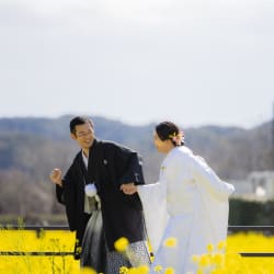 河津桜プランで春先取り