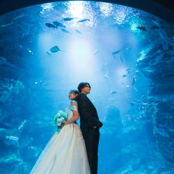 二人きりの水族館Wedding