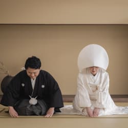 白無垢で屋内庭園