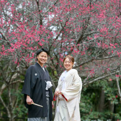 嵐山で梅の花の中のフォトウェディング