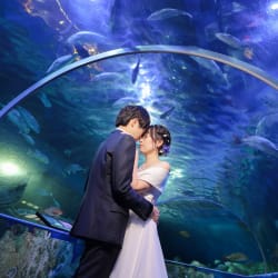 水族館ロケ