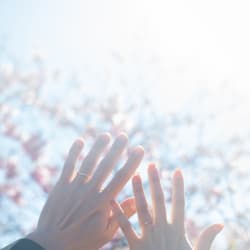 河津桜ロケーション