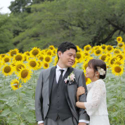 ひまわり＆屋内庭園撮影！