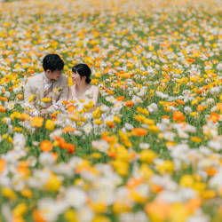 様々なお花での撮影