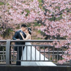 昭和記念公園で桜ロケーション！