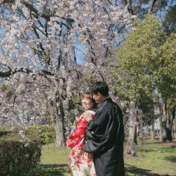 桜と大仙公園の和装ロケーション