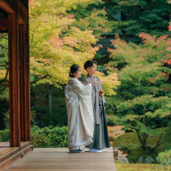 紅葉が美しい泉涌寺です。