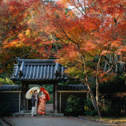 紅葉の綺麗な三溪園