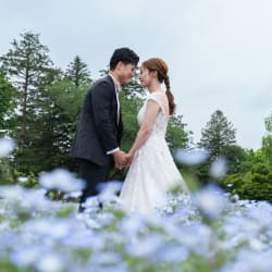 洋装ロケーション＋和装スタジオプラン