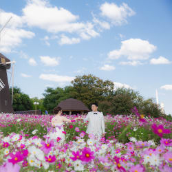 コスモス満開！夢の様なロケ撮影in鶴見緑地