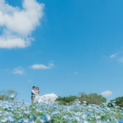 色とりどりの植物と！