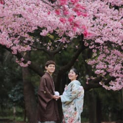 桜ロケーション