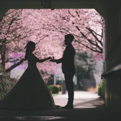 桜に包まれる、幸福の並木道。伊豆高原で叶えた大人の春ロケ