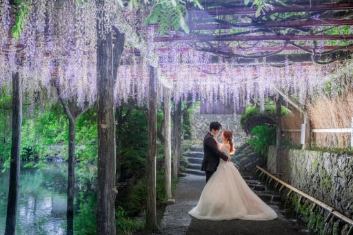 雨の日の藤の花ロケーションフォト和装洋装幻想的なウェディングフォト