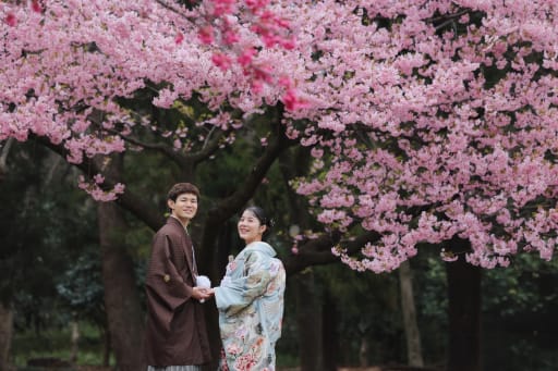 桜ロケーション