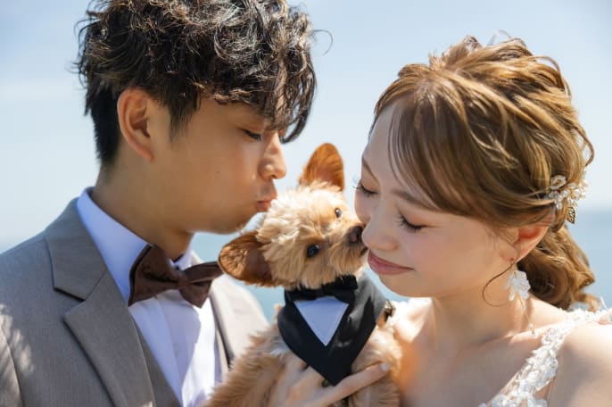 愛犬と過ごす 特別な日