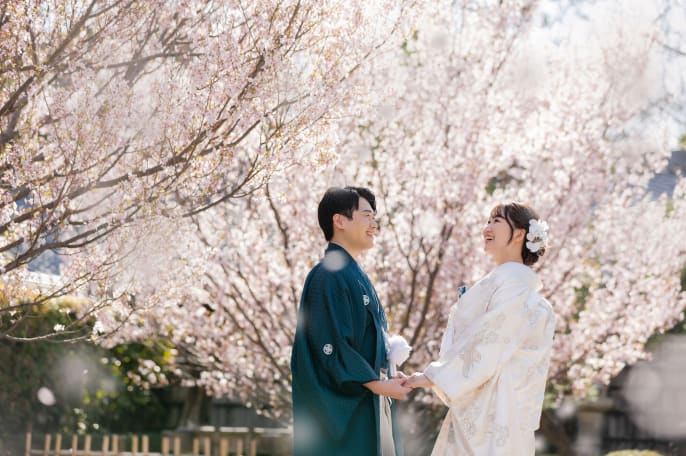 春の彩りと 茶の心