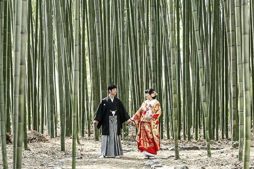 歴史あるお寺の美しい景色と