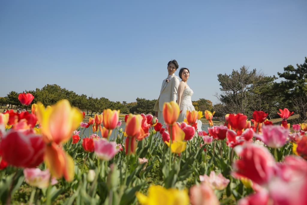 海の中道エリアロケーションプラン | フォトウェディング・前撮り・結婚写真